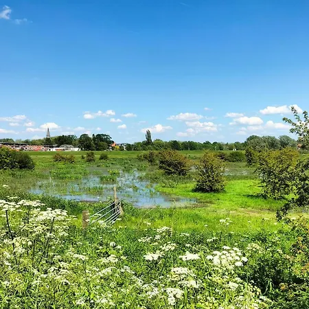 Ferienhaus Lovely In With Sauna Bennekom