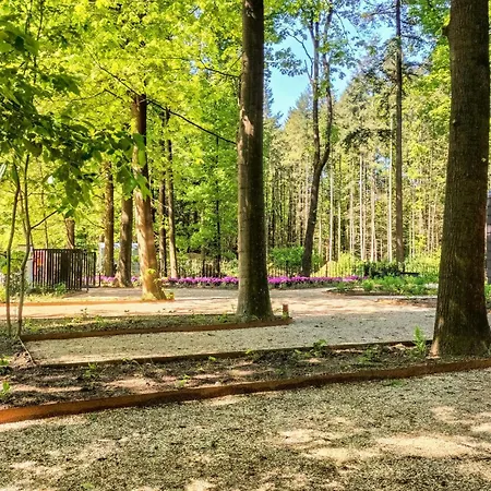 Lovely In With Sauna Ferienhaus *