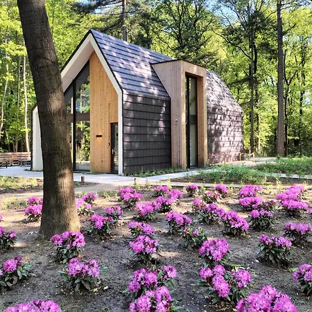 Lovely In With Sauna Holiday home