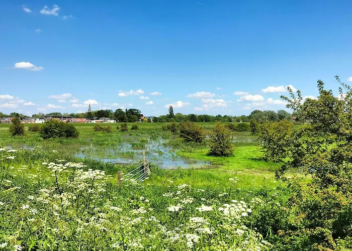 Casa vacanze Lovely In With Sauna Bennekom