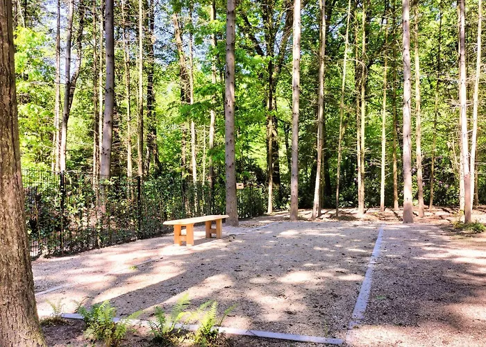 Lovely In With Sauna * Bennekom