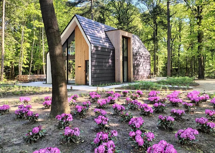 Lovely In With Sauna Casa vacanze